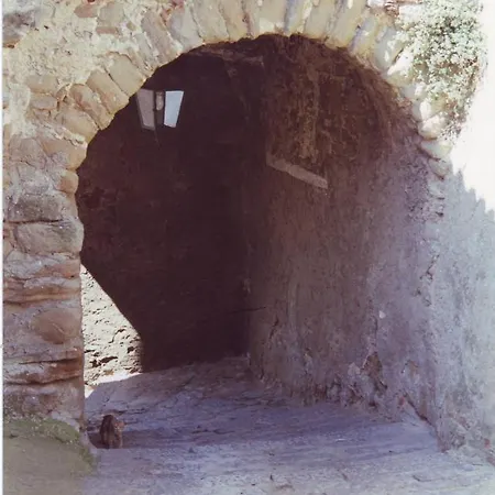 Gerani